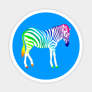 Rainbow Zebra Magnet